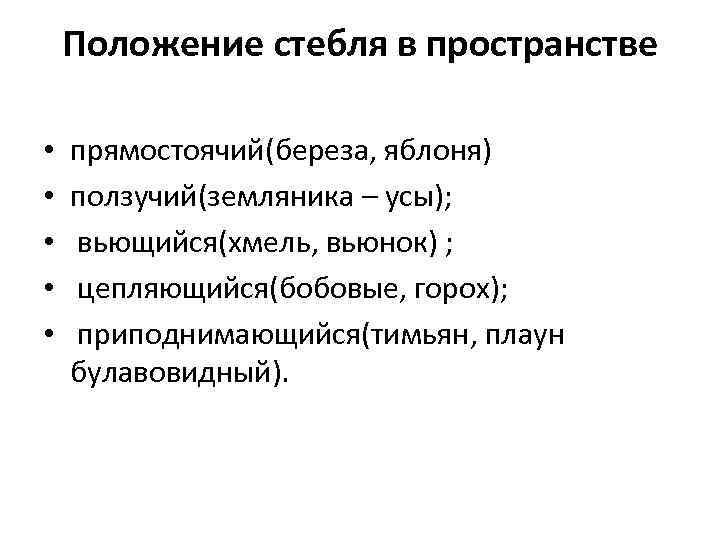 Положение стебля в пространстве • • • прямостоячий(береза, яблоня) ползучий(земляника – усы); вьющийся(хмель, вьюнок)