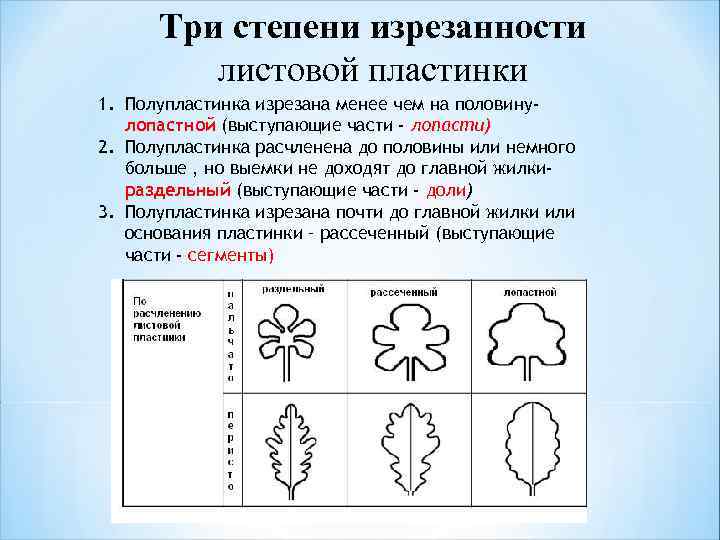 Описание различных