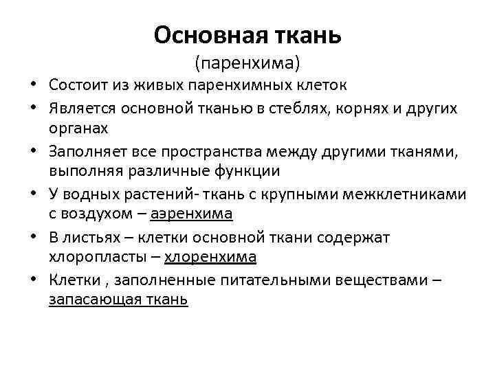 Основная ткань (паренхима) • Состоит из живых паренхимных клеток • Является основной тканью в