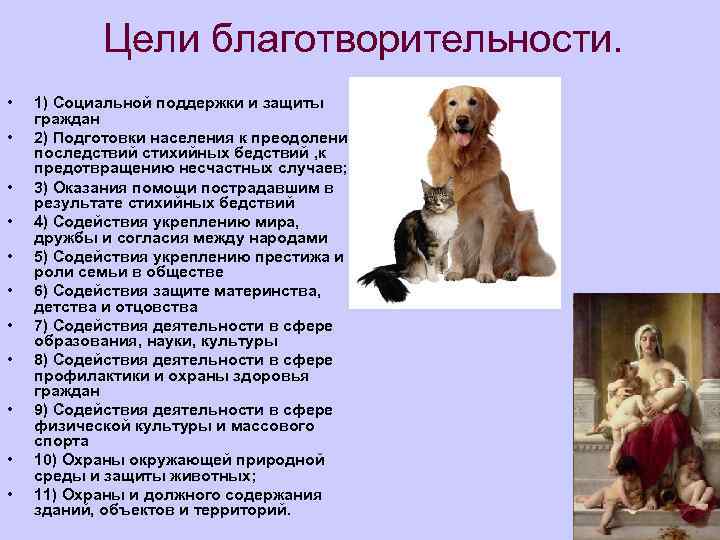 Цели благотворительности. • • • 1) Социальной поддержки и защиты граждан 2) Подготовки населения