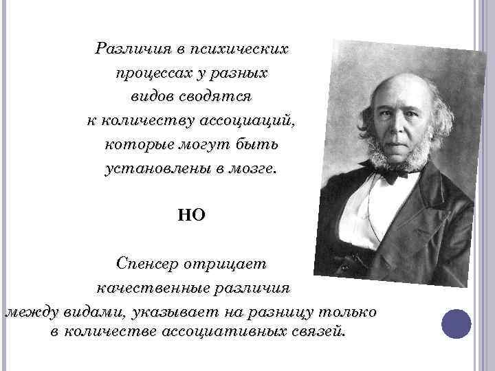 Различия в психических процессах у разных видов сводятся к количеству ассоциаций, которые могут быть