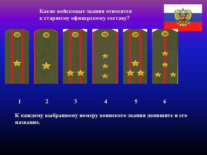 Воинские части полки формировавшиеся в россии 17 века из служивых охочих вольных людей иностранцев