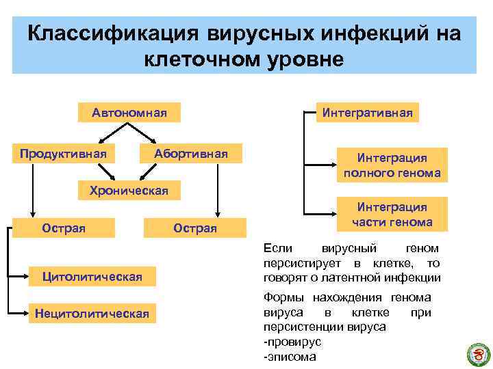 Классификация вирусных инфекций на клеточном уровне Автономная Продуктивная Интегративная Абортивная Интеграция полного генома Хроническая