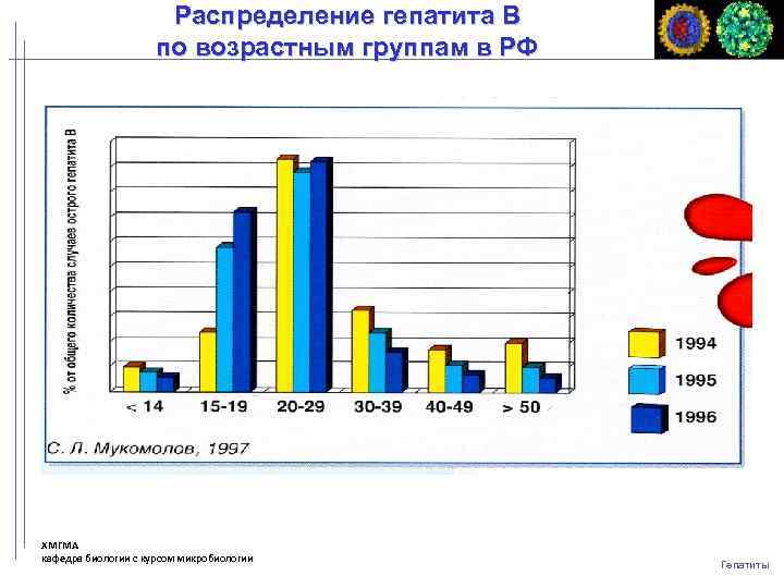 Распределение гепатита В по возрастным группам в РФ ХМГМА кафедра биологии с курсом микробиологии