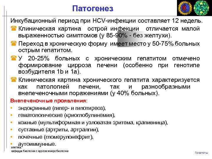 Патогенез Инкубационный период при HCV-инфекции составляет 12 недель. Клиническая картина острой инфекции отличается малой