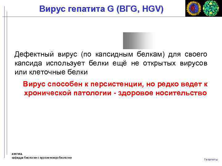 Вирус гепатита G (ВГG, HGV) Дефектный вирус (по капсидным белкам) для своего капсида использует