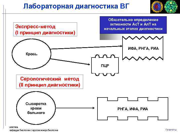 Лабораторная диагностика ВГ Экспресс-метод (I принцип диагностики) Обязательно определение активности Ас. Т и Ал.