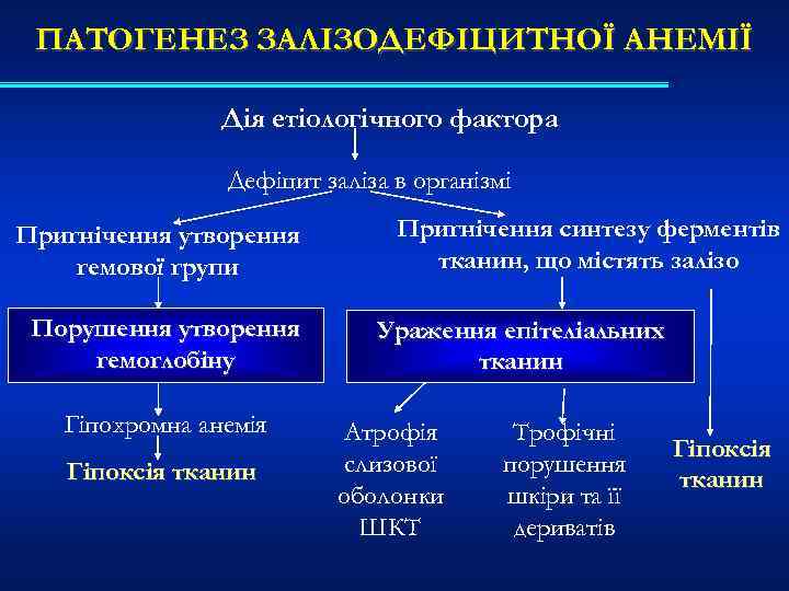 ПАТОГЕНЕЗ ЗАЛІЗОДЕФІЦИТНОЇ АНЕМІЇ Дія етіологічного фактора Дефіцит заліза в організмі Пригнічення утворення гемової групи