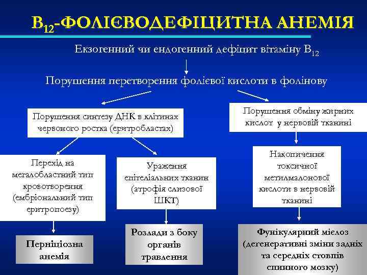 В 12 -ФОЛІЄВОДЕФІЦИТНА АНЕМІЯ Екзогенний чи ендогенний дефіцит вітаміну В 12 Порушення перетворення фолієвої
