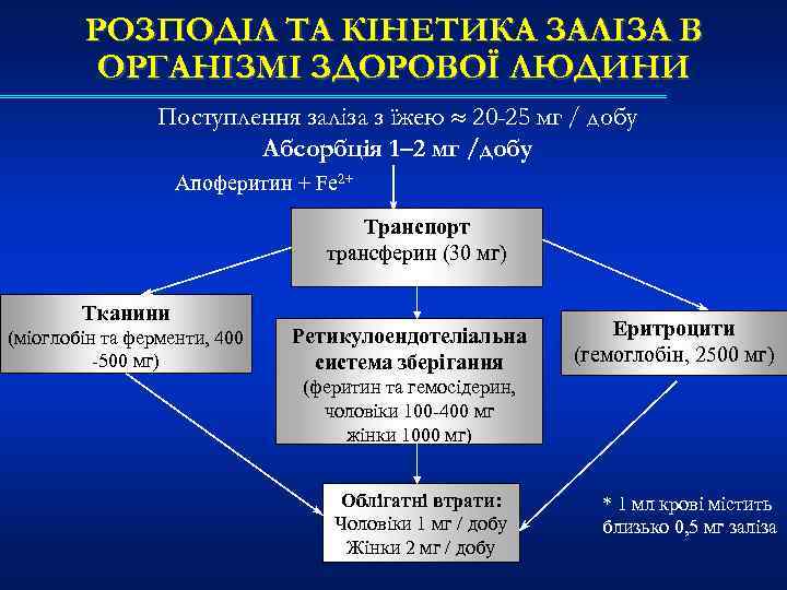 РОЗПОДІЛ ТА КІНЕТИКА ЗАЛІЗА В ОРГАНІЗМІ ЗДОРОВОЇ ЛЮДИНИ Поступлення заліза з їжею 20 -25