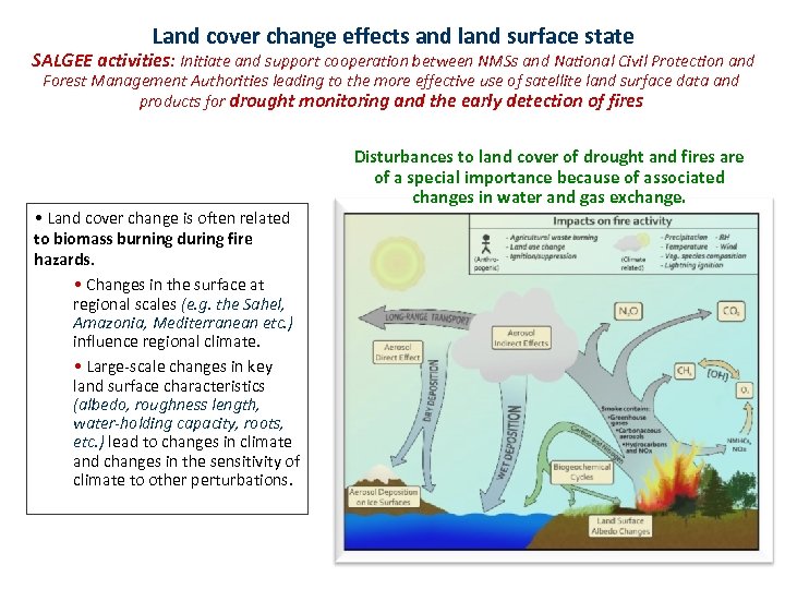 Land cover change effects and land surface state SALGEE activities: Initiate and support cooperation