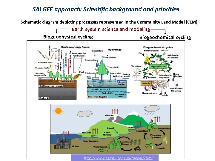 SALGEE approach: Scientific background and priorities Schematic diagram depicting processes represented in the Community