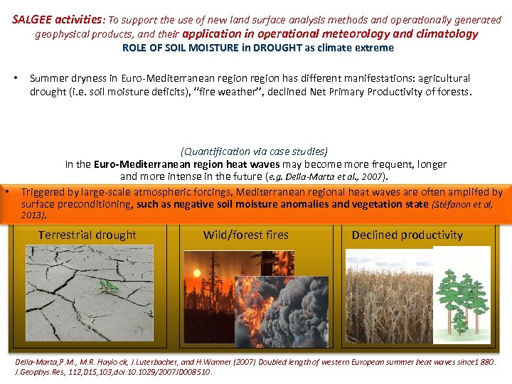 SALGEE activities: To support the use of new land surface analysis methods and operationally