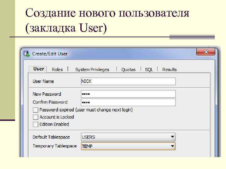 Создание нового пользователя (закладка User) 