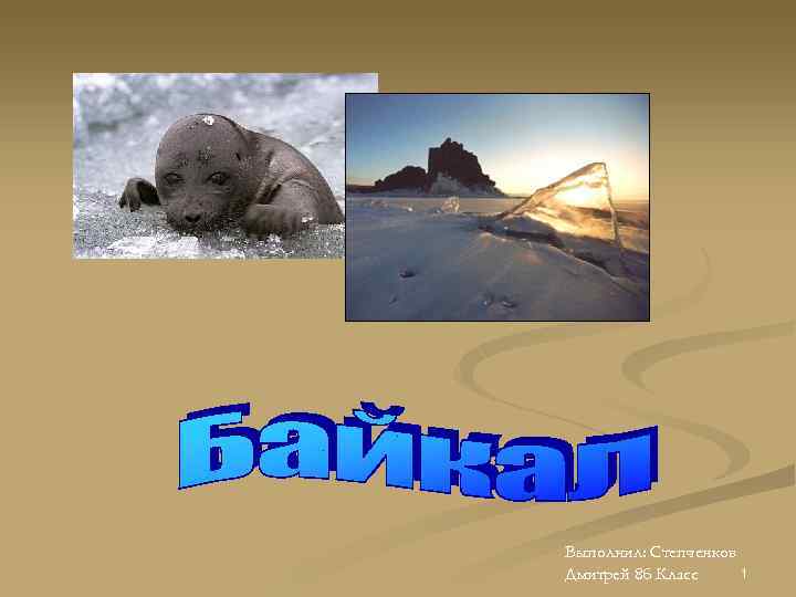 Выполнил: Степченков 1 Дмитрей 8 б Класс 