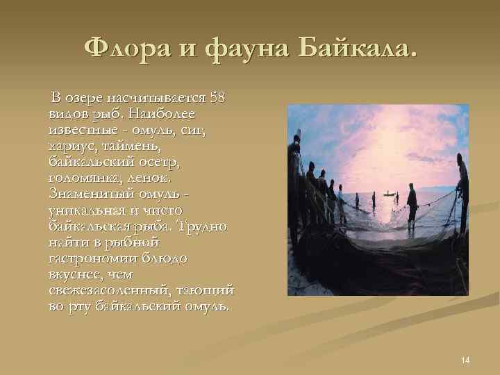 Флора и фауна Байкала. В озере насчитывается 58 видов рыб. Наиболее известные - омуль,