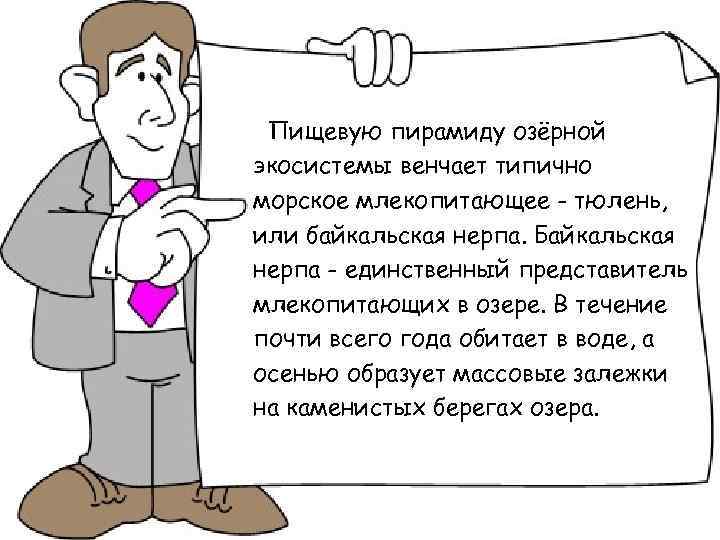 Пищевую пирамиду озёрной экосистемы венчает типично морское млекопитающее - тюлень, или байкальская нерпа. Байкальская