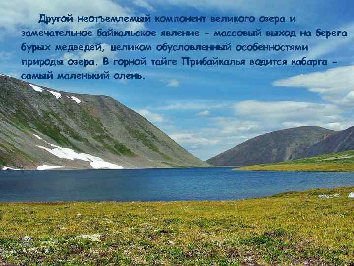 Другой неотъемлемый компонент великого озера и замечательное байкальское явление - массовый выход на берега