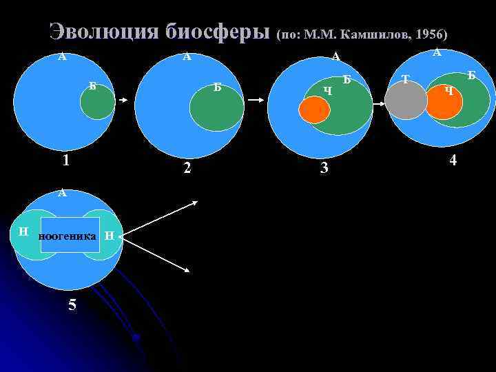 Схема эволюции биосферы