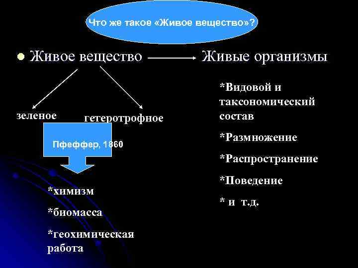 Что же такое «Живое вещество» ? l Живое вещество Живые организмы зеленое гетеротрофное Пфеффер,