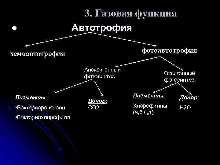 Газовая функция