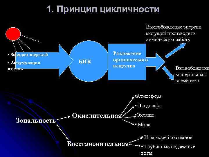 Принцип цикличности тренировочного процесса презентация