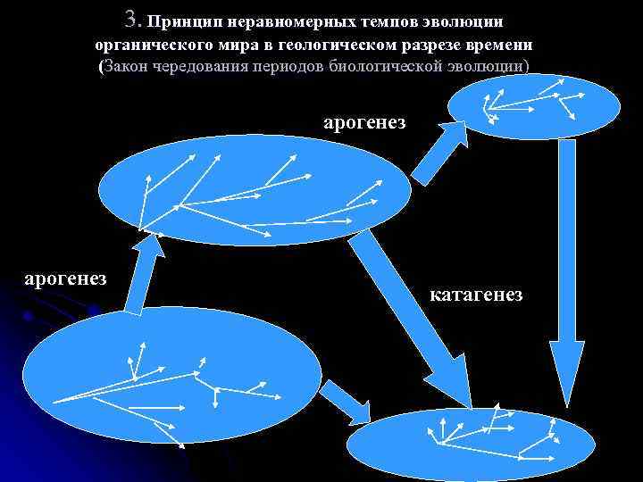 3. Принцип неравномерных темпов эволюции органического мира в геологическом разрезе времени (Закон чередования периодов