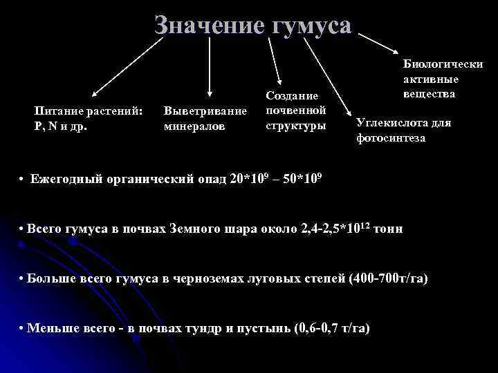 Основные функции почвы. Экологическая роль гумуса. Экологические функции гумуса. Экологическая роль гумуса в почве. Экологические функции гумуса в почве.