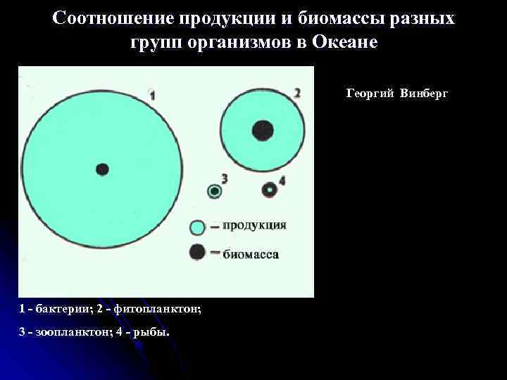 Диаграмма соотношения биомассы растений и животных в океане