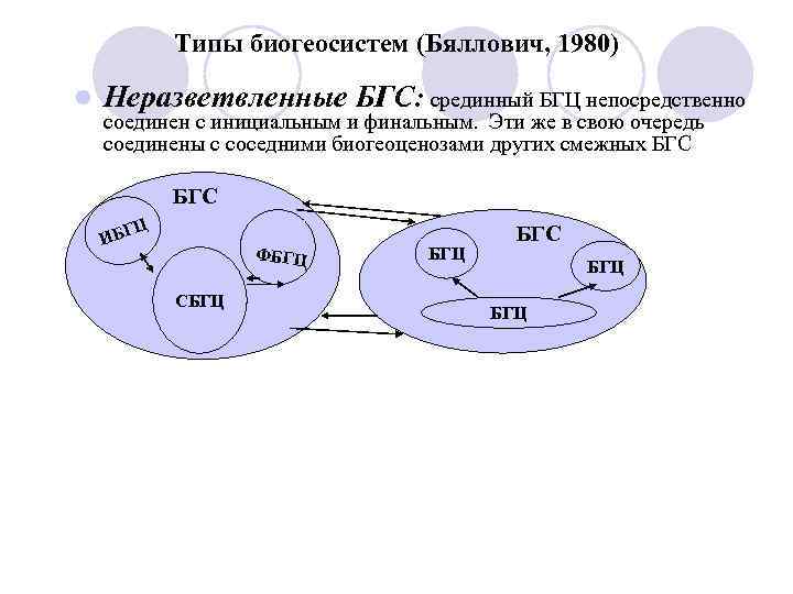 Типы биогеосистем (Бяллович, 1980) l Неразветвленные БГС: срединный БГЦ непосредственно соединен с инициальным и