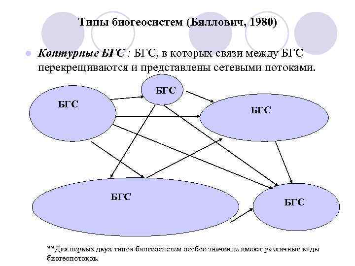 Типы биогеосистем (Бяллович, 1980) l Контурные БГС : БГС, в которых связи между БГС