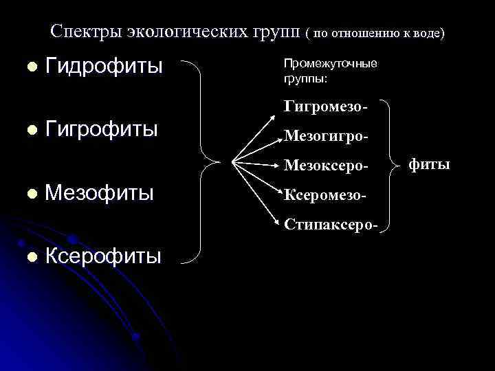 Спектры экологических групп ( по отношению к воде) l Гидрофиты Промежуточные группы: Гигромезо- l