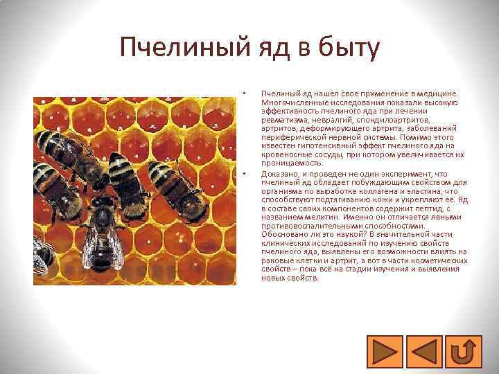 Пчелиный яд в быту • • Пчелиный яд нашел свое применение в медицине. Многочисленные
