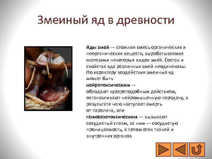 Змеиный яд в древности Яды змей — сложная смесь органических и неорганических веществ, вырабатываемая