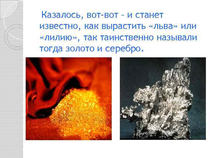 Казалось, вот-вот – и станет известно, как вырастить «льва» или «лилию» , так таинственно