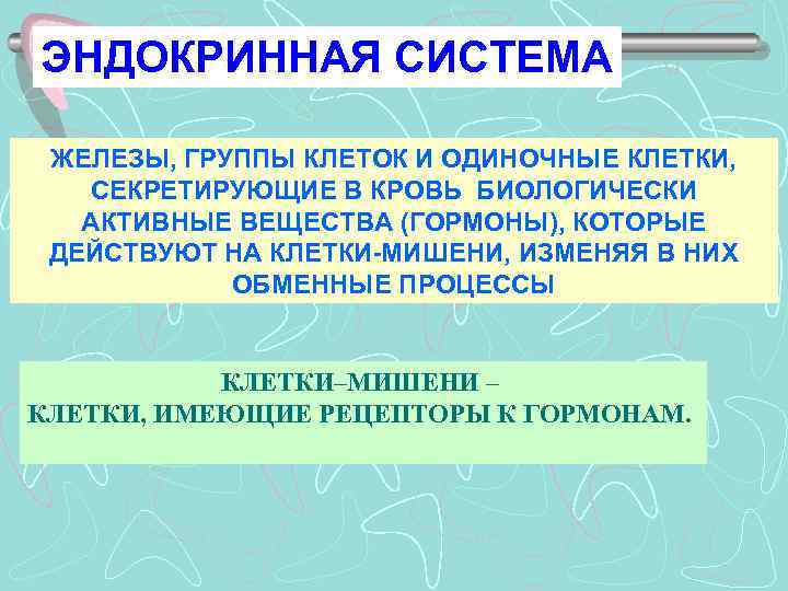 Беременность на фоне экстрагенитальной патологии