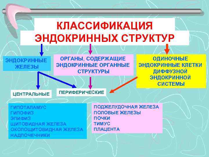 Классификация эндокринных структур. Классификация желез внутренней секреции схема.