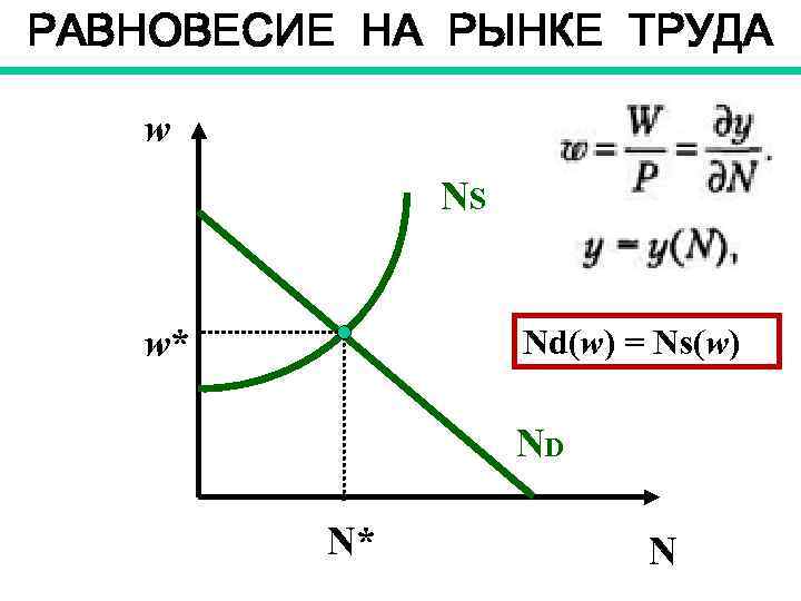 РАВНОВЕСИЕ НА РЫНКЕ ТРУДА w NS w* Nd(w) = Ns(w) ND N* N 