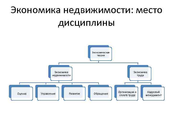 Экономика недвижимости: место дисциплины Экономическая теория Экономика недвижимости Оценка Управление Развитие Экономика труда Обращение