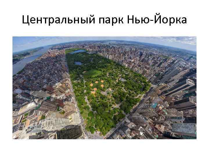 Центральный парк Нью-Йорка 