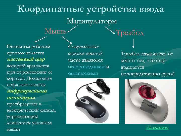 Координатные устройства ввода Манипуляторы Мышь Трекбол Основным рабочим органом является массивный шар , который
