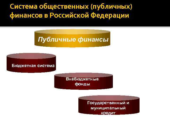 Система общественных (публичных) финансов в Российской Федерации Публичные финансы Финансы хозяйствующих субъектов Бюджетная система