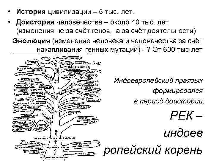  • История цивилизации – 5 тыс. лет. • Доистория человечества – около 40