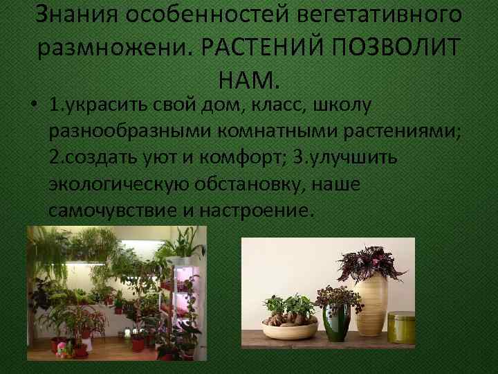 Знания особенностей вегетативного размножени. РАСТЕНИЙ ПОЗВОЛИТ НАМ. • 1. украсить свой дом, класс, школу