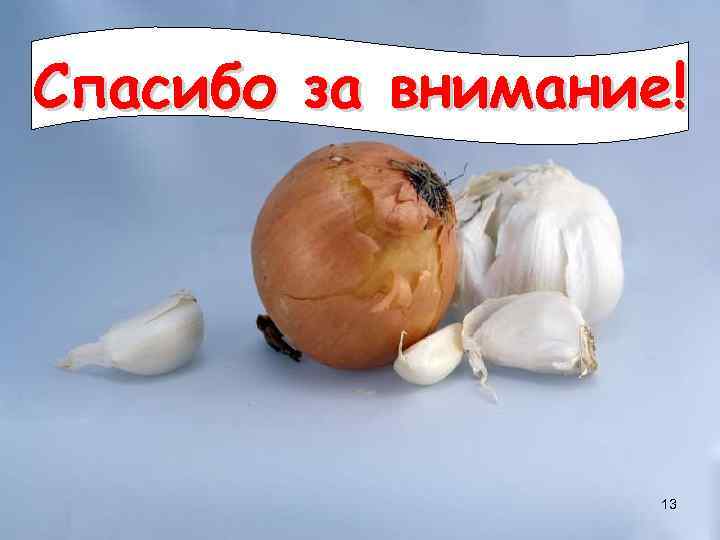 Спасибо за внимание! 13 