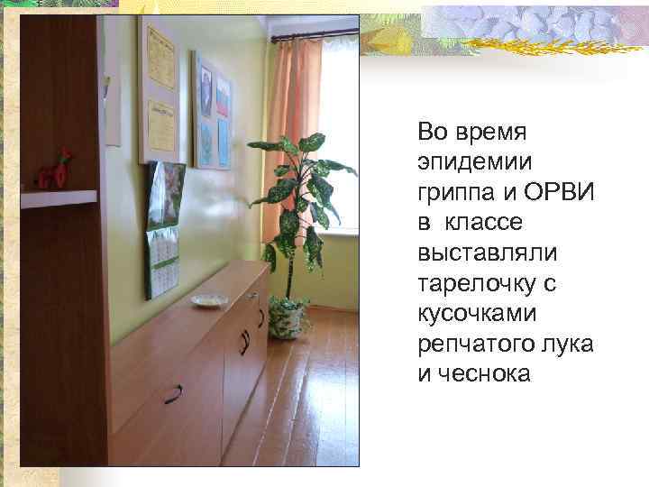 Во время эпидемии гриппа и ОРВИ в классе выставляли тарелочку с кусочками репчатого лука