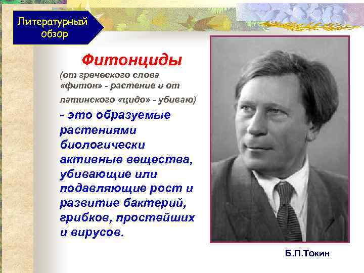Литературный обзор Фитонциды (от греческого слова «фитон» - растение и от латинского «цидо» -