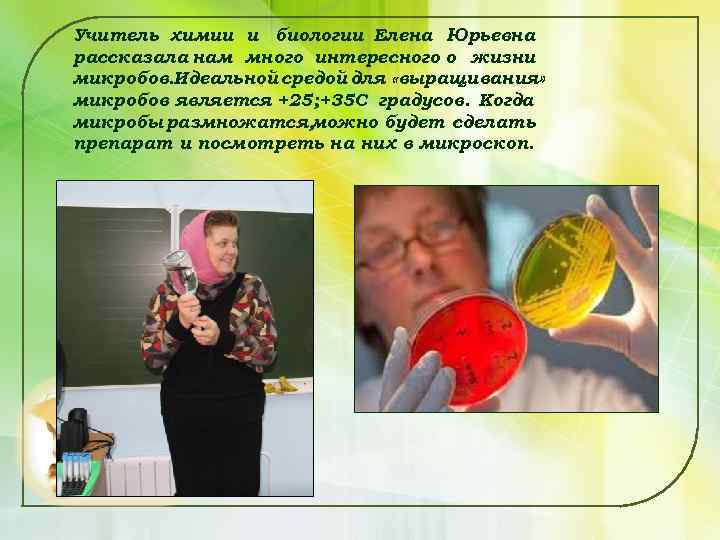 Учитель химии и биологии Елена Юрьевна рассказала нам много интересного о жизни микробов. Идеальной