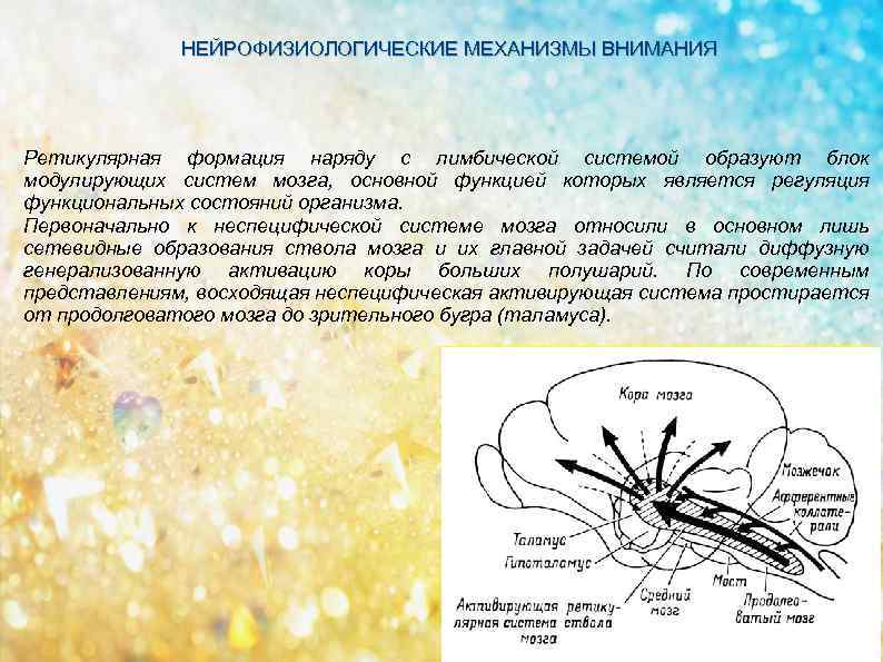 Карта схема психофизиология внимания