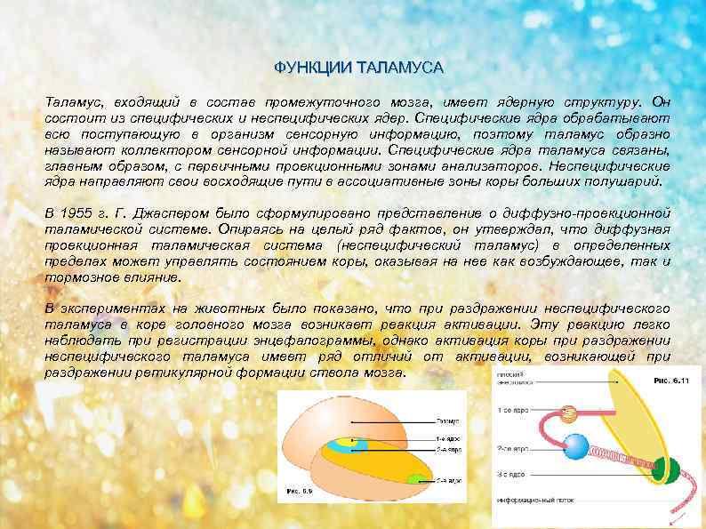 ФУНКЦИИ ТАЛАМУСА Таламус, входящий в состав промежуточного мозга, имеет ядерную структуру. Он состоит из